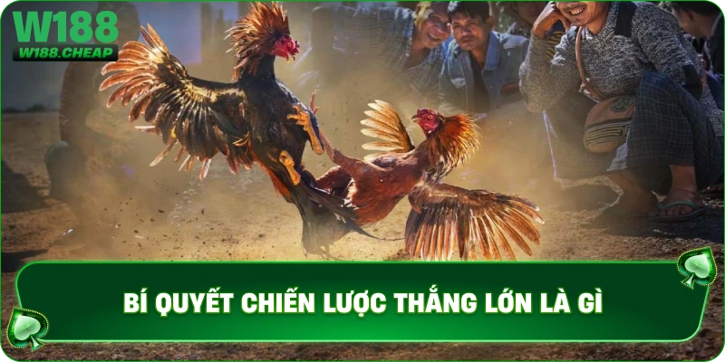Bí quyết chiến lược thắng lớn là gì